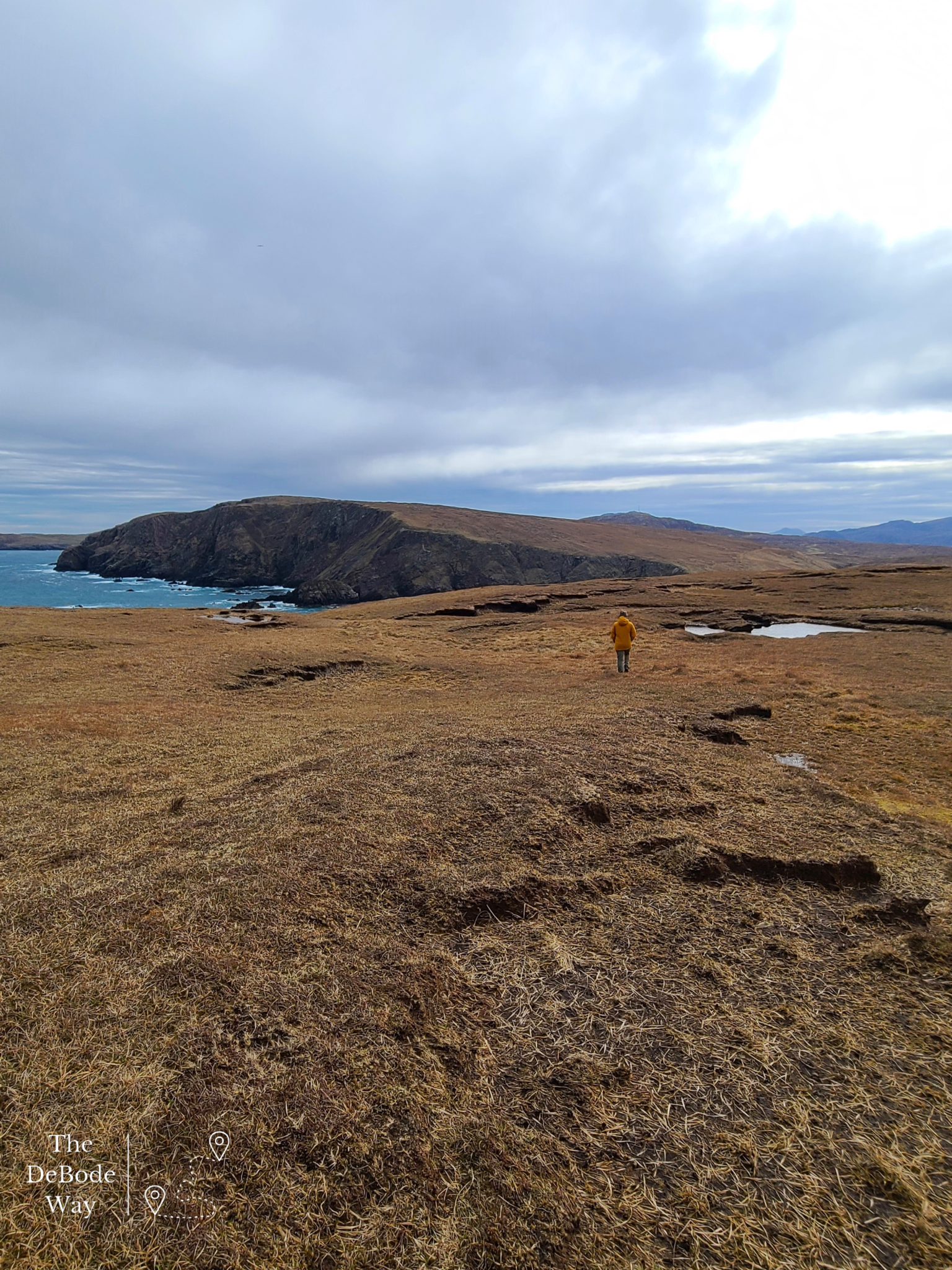 Tiny Jason in a sea of yellow grass at Gallan Head