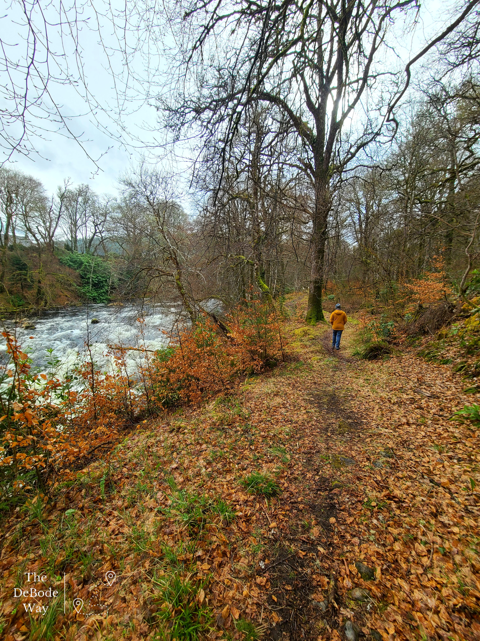 Leaf filled path along the rushing river