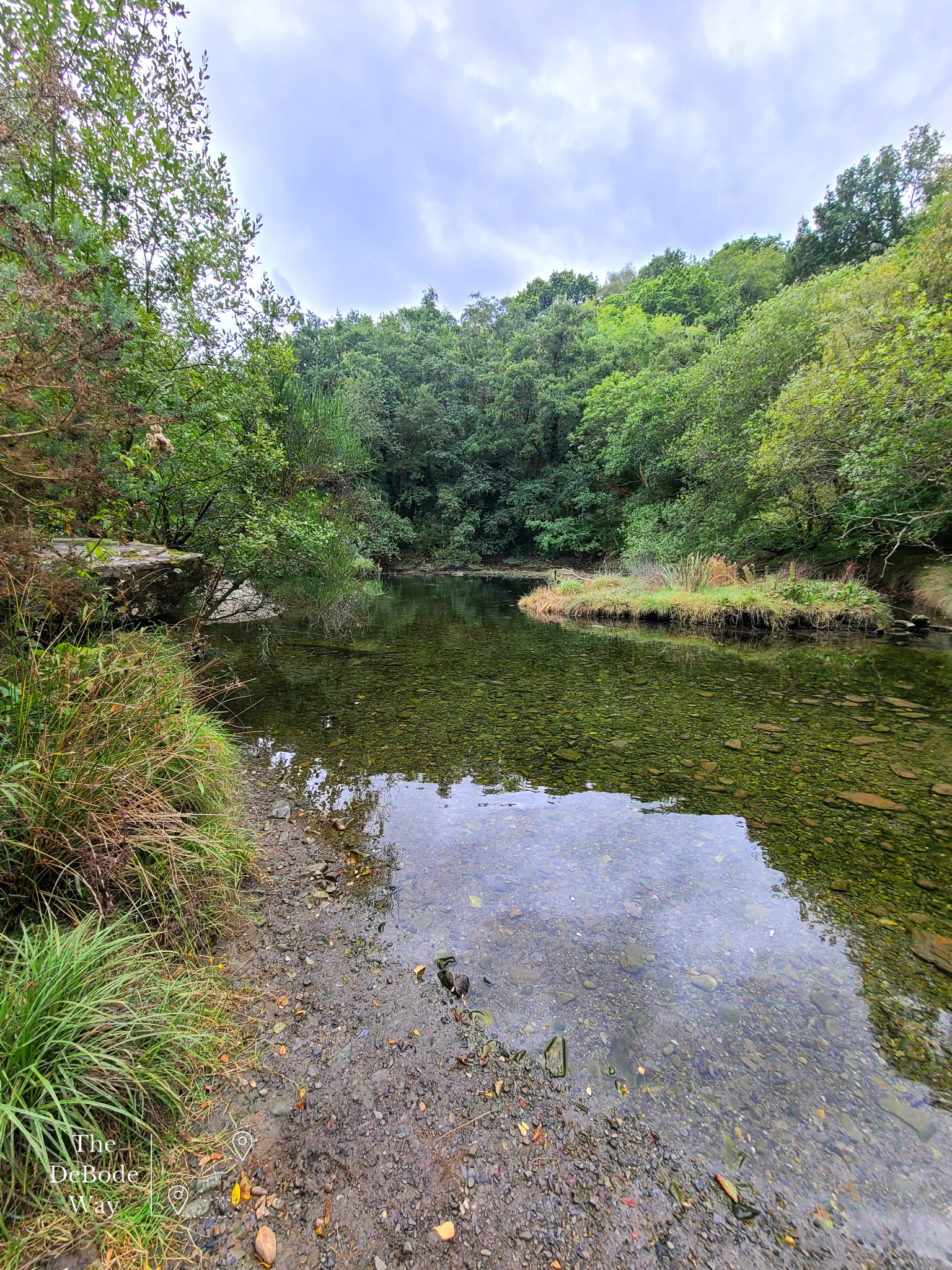 Stream flowing into the estuary