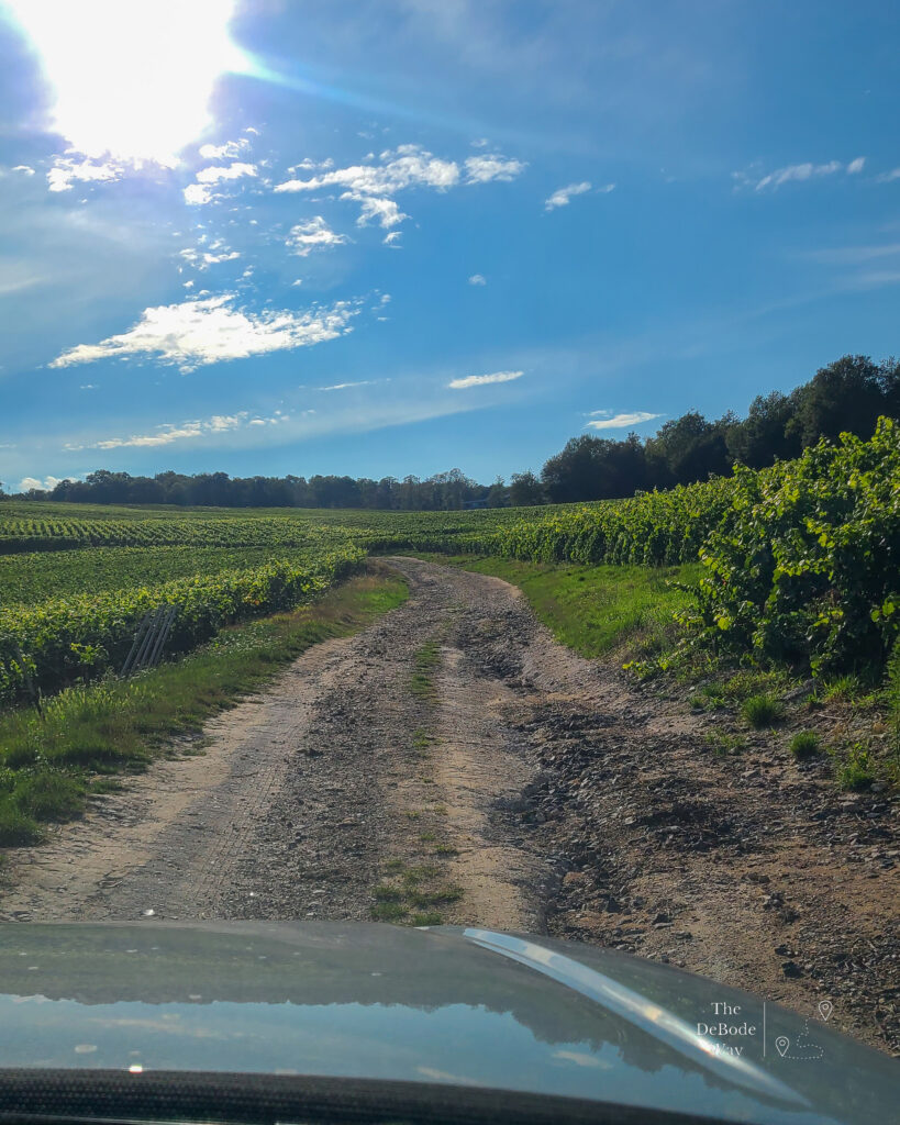 rutted rock vineyard roads