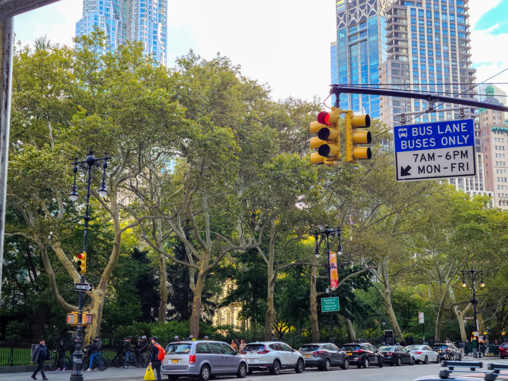 trees lining City Hall Park with cars parked underneath along the street