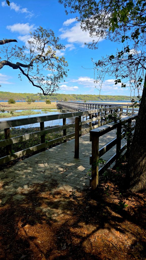 Boardwalk to the beach at Sagamore Hill