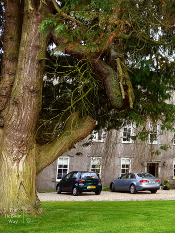 car park at castle house with large tree to side