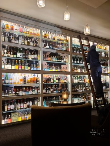 Jason on a ladder admiring bottles of Scotch stacked to the ceiling
